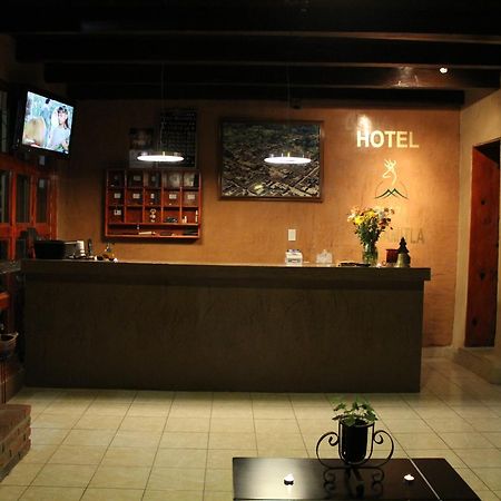 Hotel Plaza Мазамитла Экстерьер фото